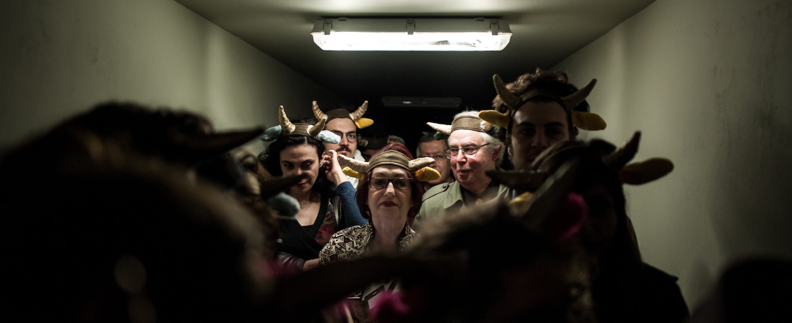 Stage Director | Perfomer | Researcher