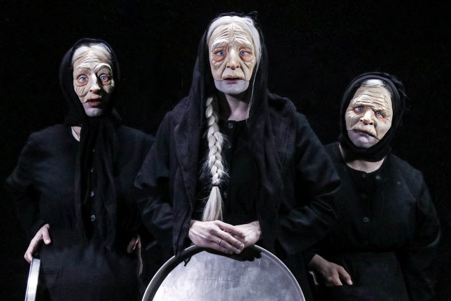 Οι γριές που μαζεύουν την τσουκνίδα | 2023-2026